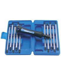 Draper Reversible Blade Screwdriver Set (Giving 20 Tip Sizes) (11 Piece)