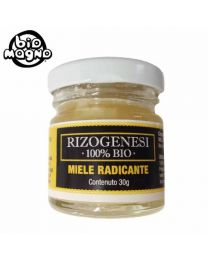 BioMagno - Rizogenesi 100% Bio Honey Rooting 30gr