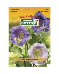 Cathedral Bells (Cobaea Scandens) - Gold Seeds By Sementi Dotto 0.3gr