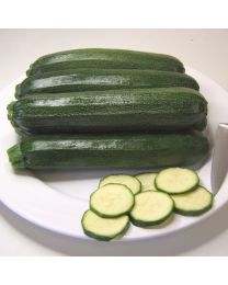 Courgette Defender F1