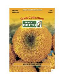 Double Dwarf Sunflower - Gold Seeds By Sementi Dotto