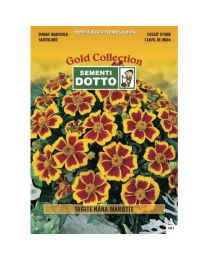 Dwarf Marigold (Tagetes Patula) - Gold Seeds By Sementi Dotto 1.4gr