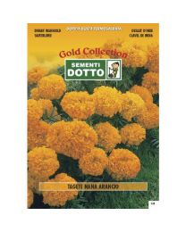 Dwarf Orange Marigold (Tagetes Patula) - Gold Seeds By Sementi Dotto 1.8gr