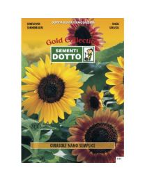 Dwarf Sunflower (Helianthus Annuus) - Gold Seeds By Sementi Dotto 2.8gr