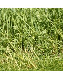 Green Manure - Overwinter Mix - 16 Sq.m.pack