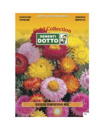 Strawflower (Helichrysum Bracteatum) - Gold Seeds By Sementi Dotto 1.3gr